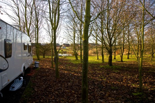 The view from the right hand side of the van