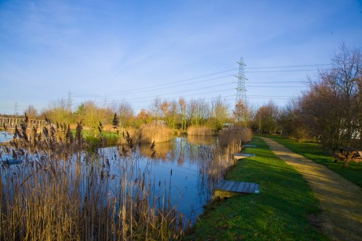 Looking from the amenities block towards our caravan in the distance