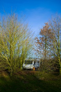 A view of our caravan through the trees