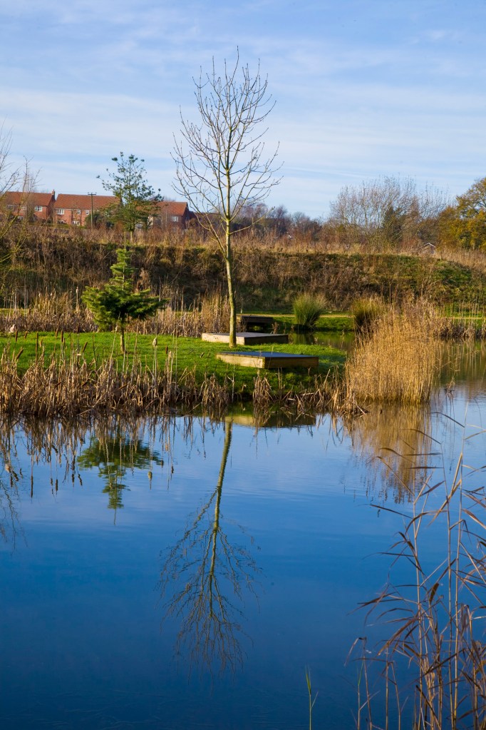 One of the fishing pegs on the island