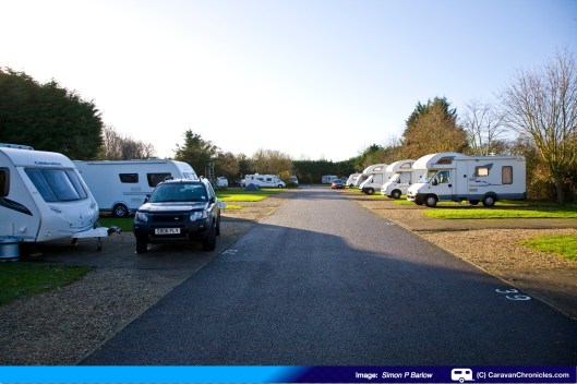 All pitched in the late December sun....